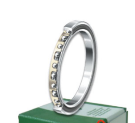 INA CSCG100 bearings